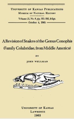 Orta Amerika'dan Colubridae Ailesine Ait Yılan Cinslerinin Gözden Geçirilmesi Orta Amerika'dan Colubridae Ailesine Ait Yılan Cinslerinin Gözden Geçirilmesi