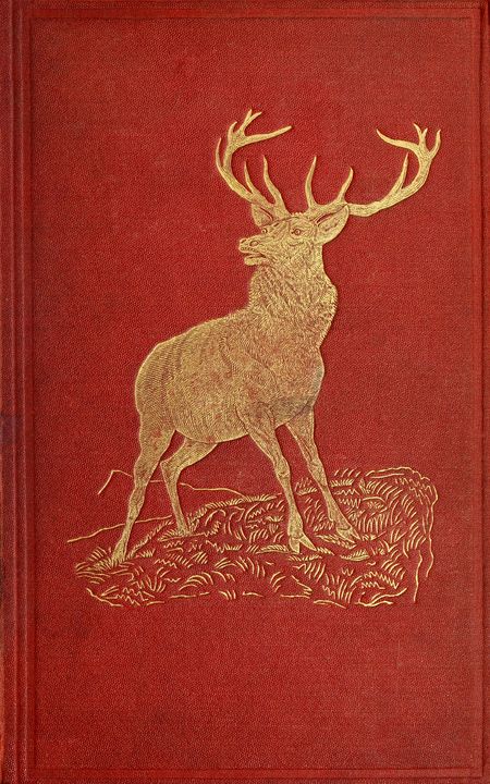 Katerfelto: A Story of Exmoor Katerfelto: A Story of Exmoor