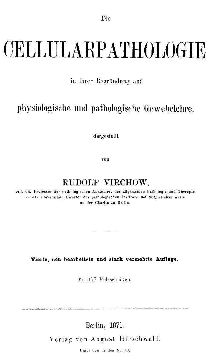 Die Cellularpathologie
in ihrer Begründung auf physiologische und pathologische Gewebelehre