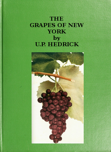 The grapes of New York The grapes of New York