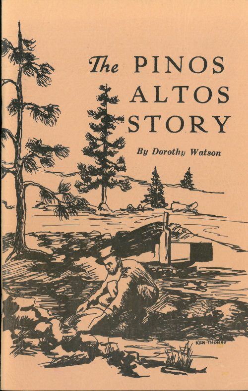 The Pinos Altos Story The Pinos Altos Story