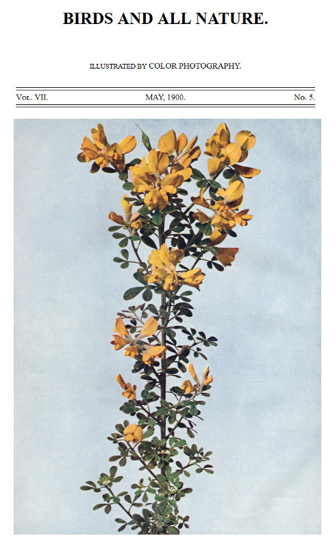 Birds and All Nature, Vol. 7, No. 5, May 1900 Illustrated by Color Photography Birds and All Nature, Vol. 7, No. 5, May 1900 Illustrated by Color Photography