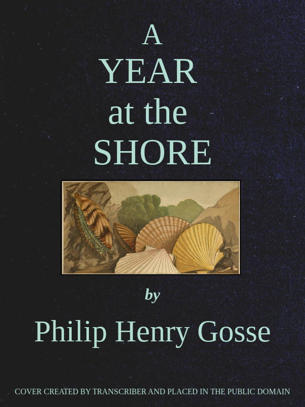 A Year at the Shore A Year at the Shore