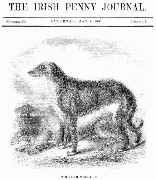 The Irish Penny Journal, Vol. 1 No. 45, May 8, 1841 The Irish Penny Journal, Vol. 1 No. 45, May 8, 1841