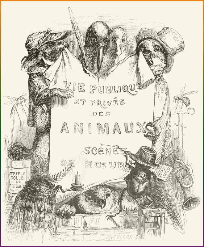 Vie privée et publique des animaux
