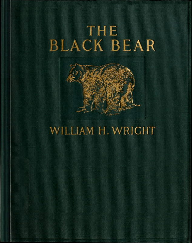 The Black Bear