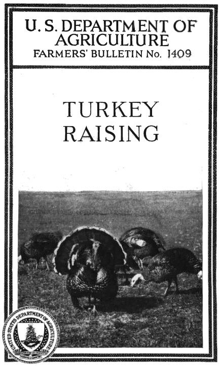 Turkey Raising Turkey Raising