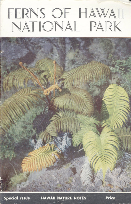 Ferns of Hawaii National Park Ferns of Hawaii National Park