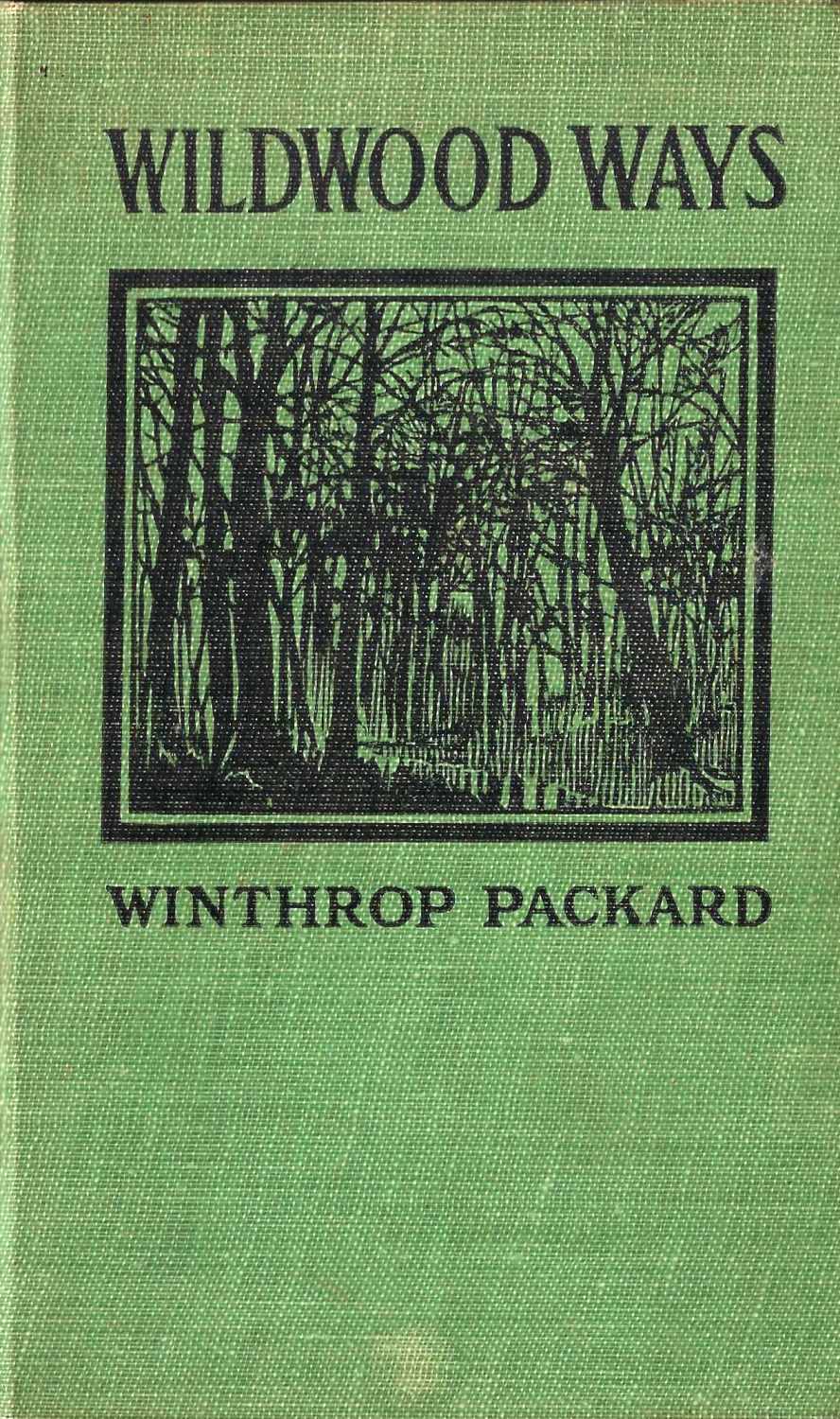 Wildwood Ways Wildwood Ways
