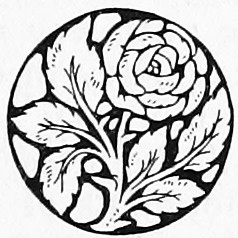 tp_decoration tp_decoration