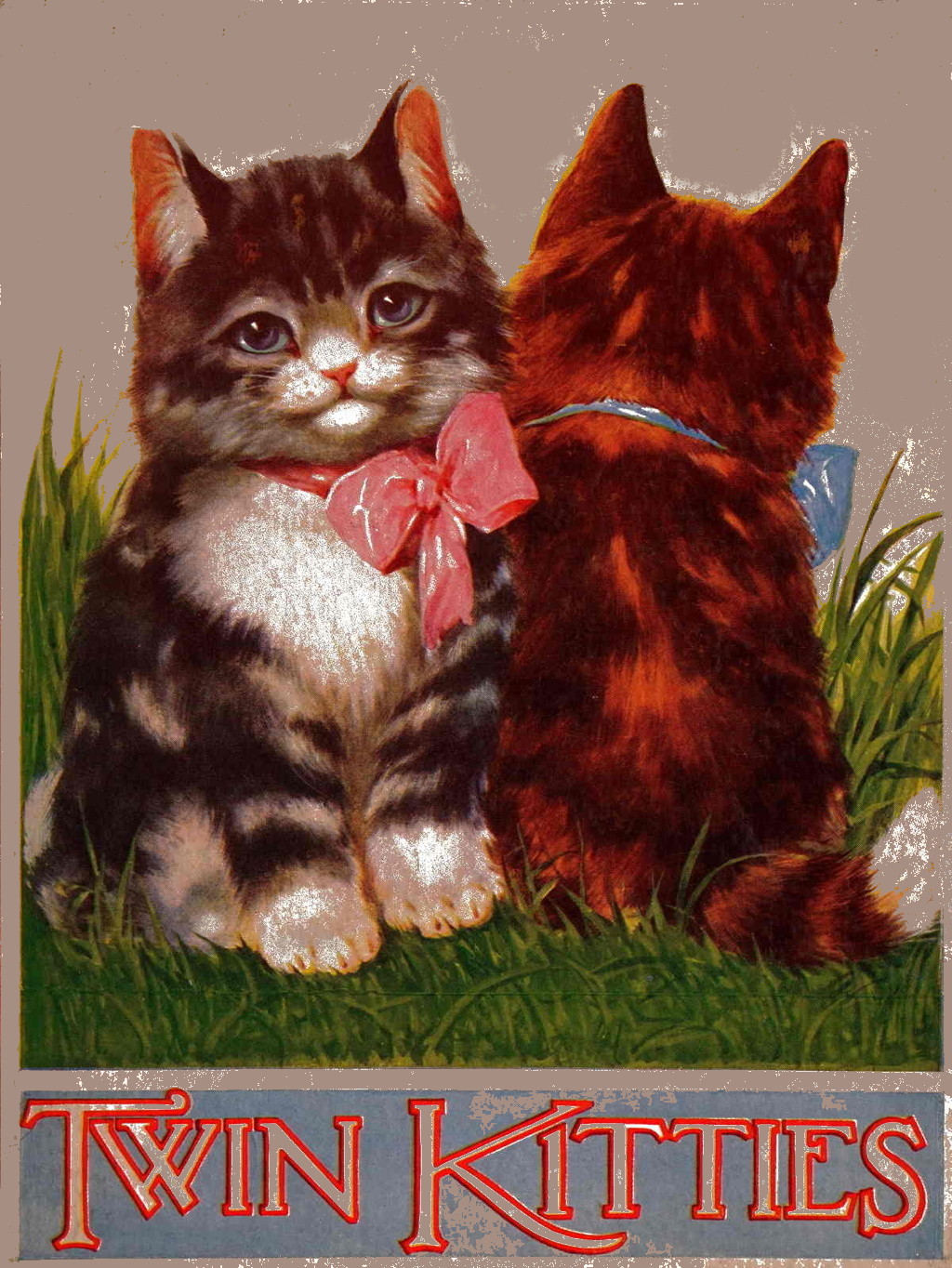 My twin kitties My twin kitties