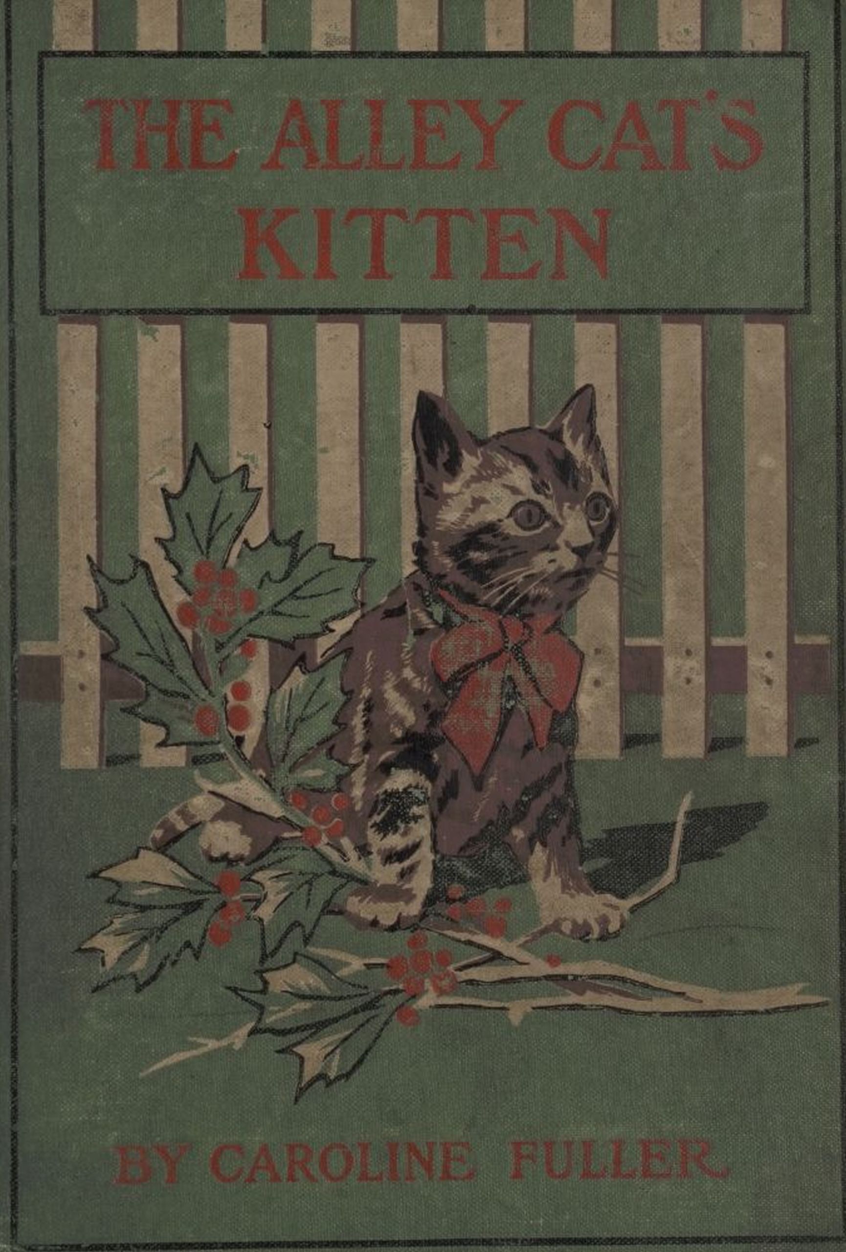The alley cat's kitten The alley cat's kitten