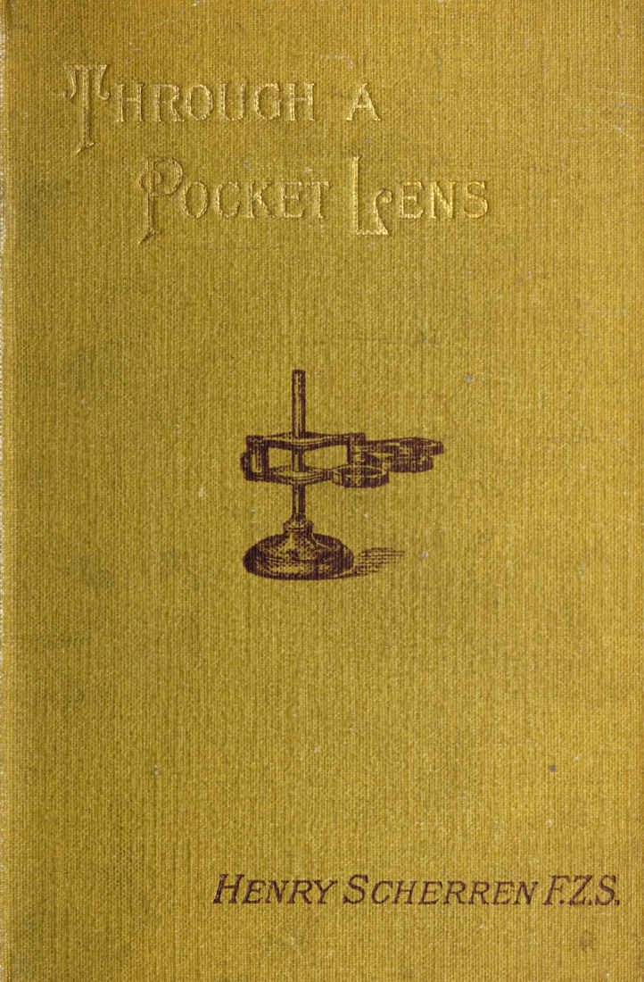 Through a pocket lens Through a pocket lens