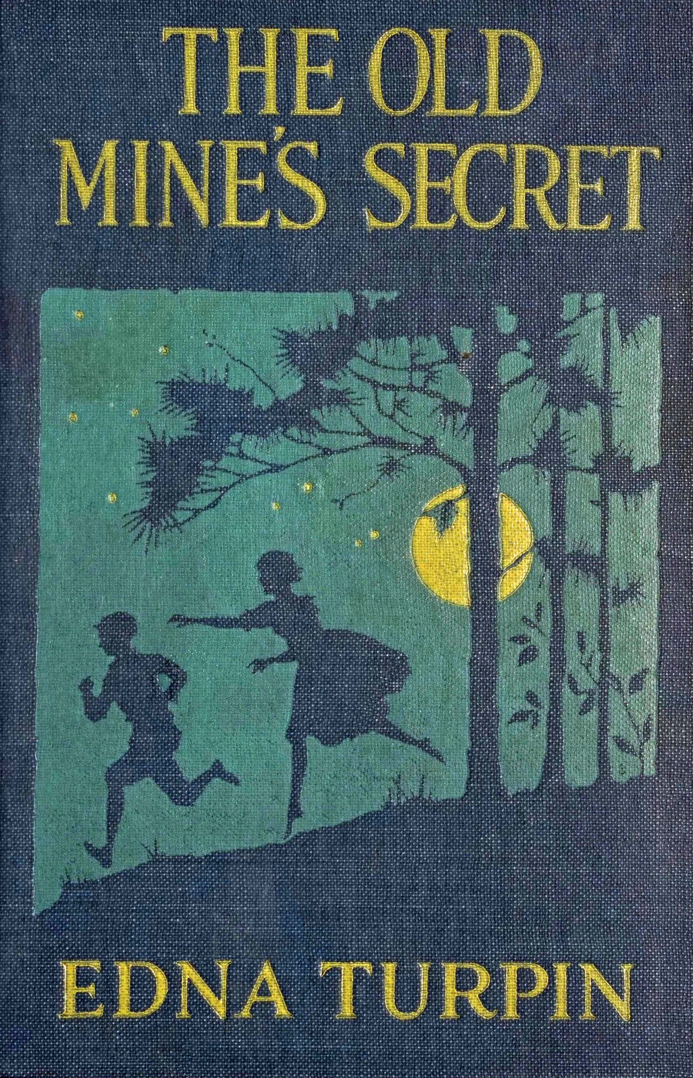 The old mine's secret The old mine's secret