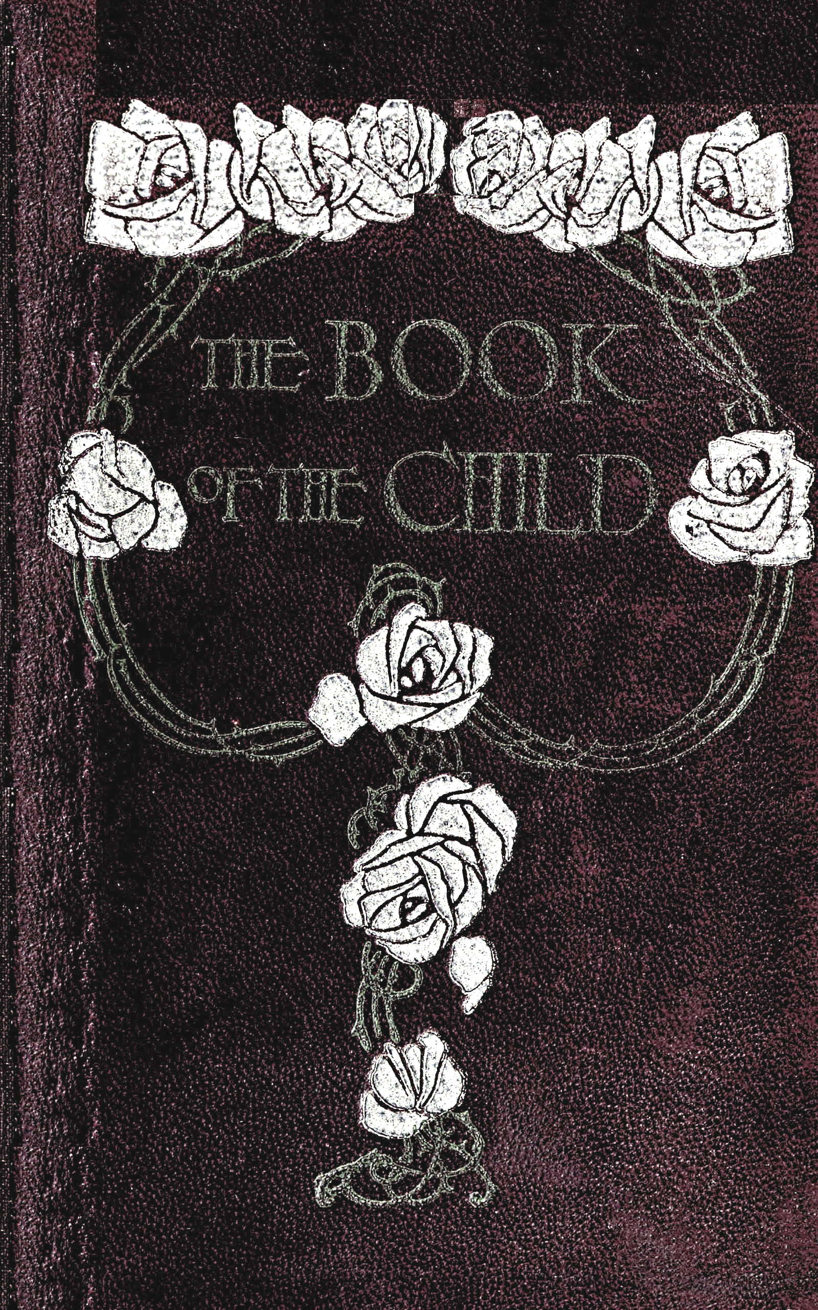 The book of the child: An attempt to set down what is in the mind of children The book of the child: An attempt to set down what is in the mind of children