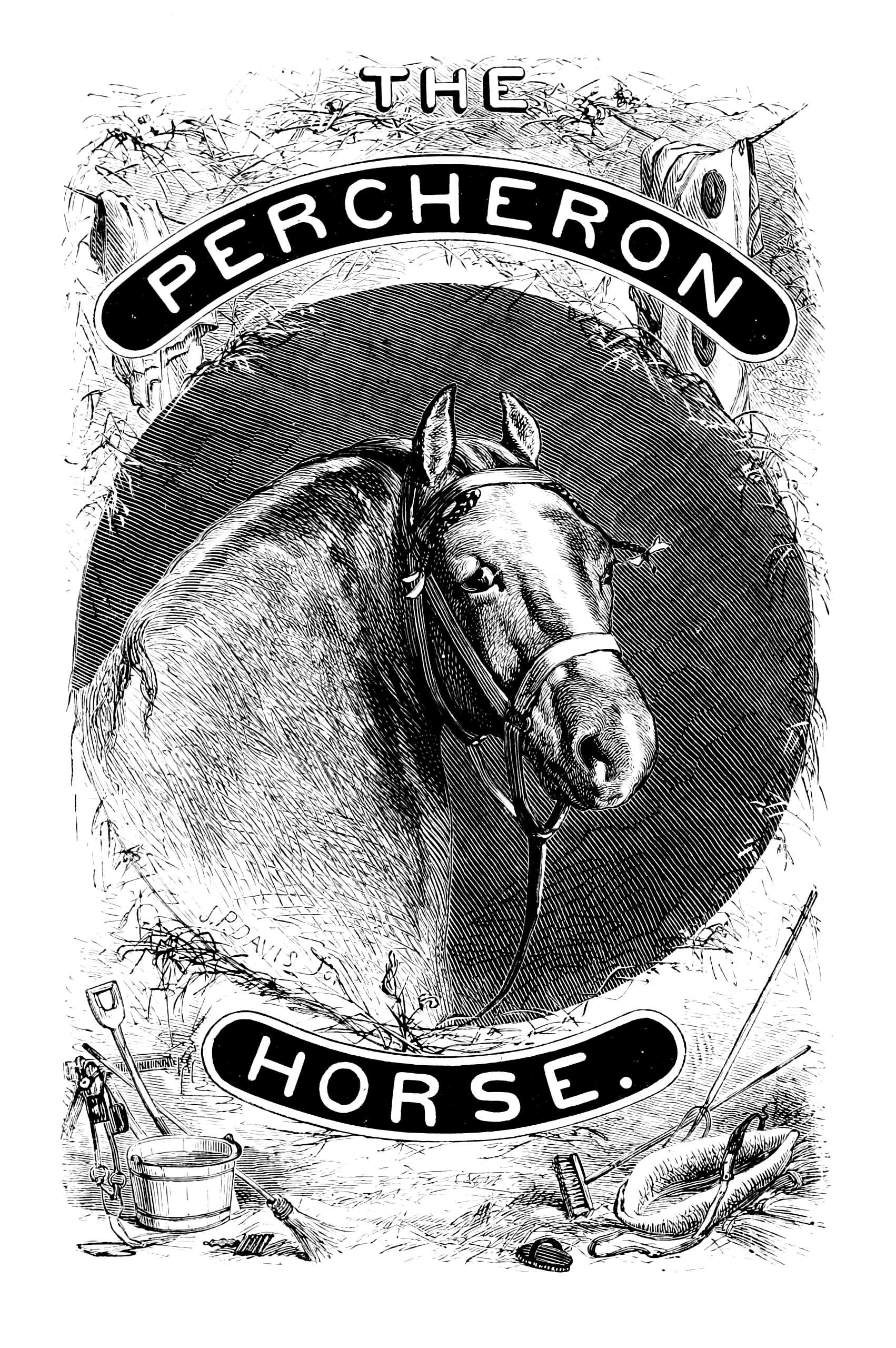 The Percheron horse The Percheron horse